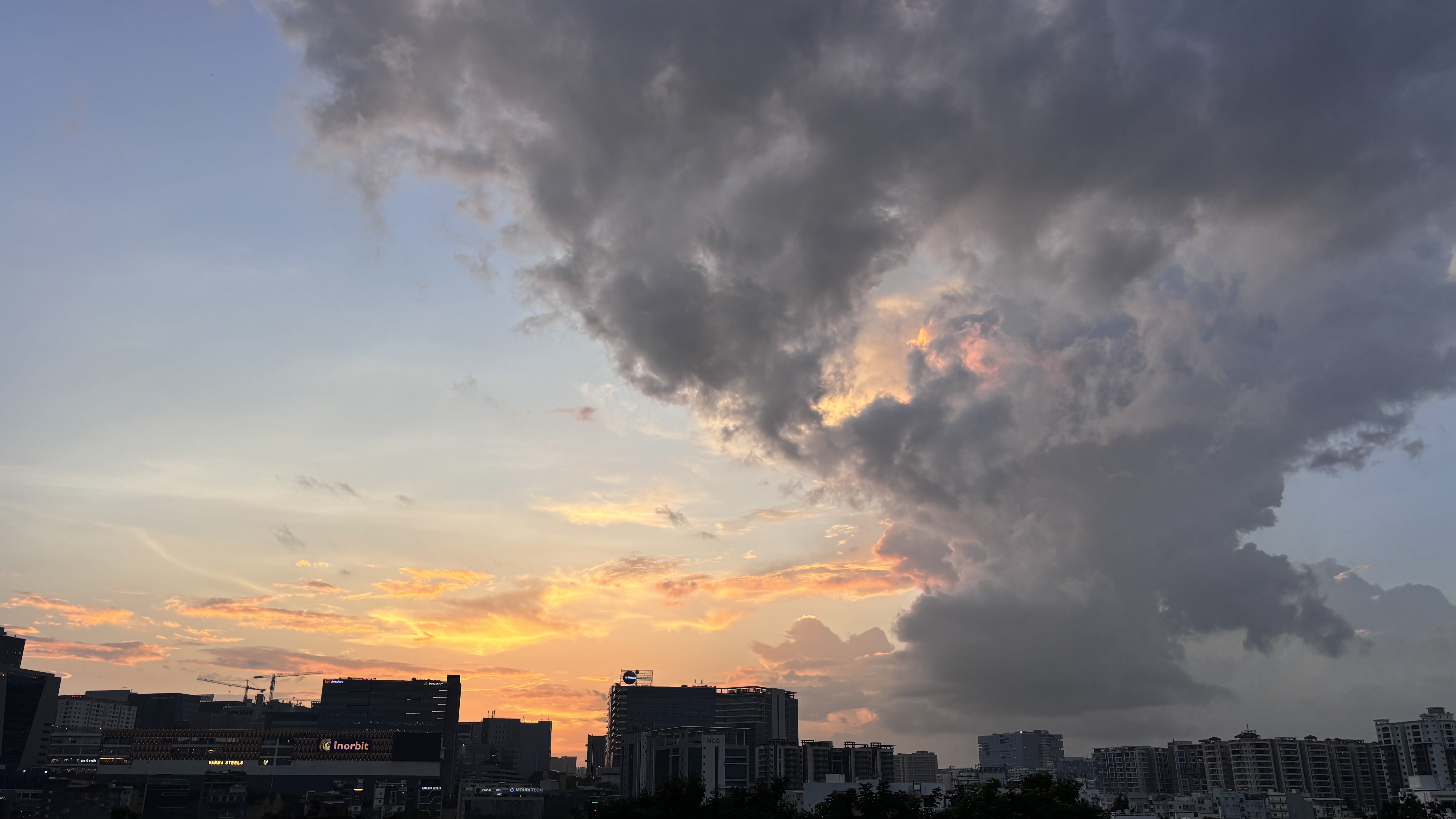 IMG_7978.jpeg